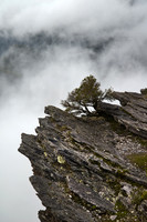 Bluff Knoll