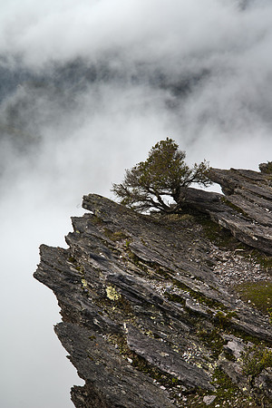 Bluff Knoll