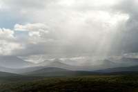 Stirling Range NP
