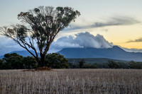 Bluff Knoll