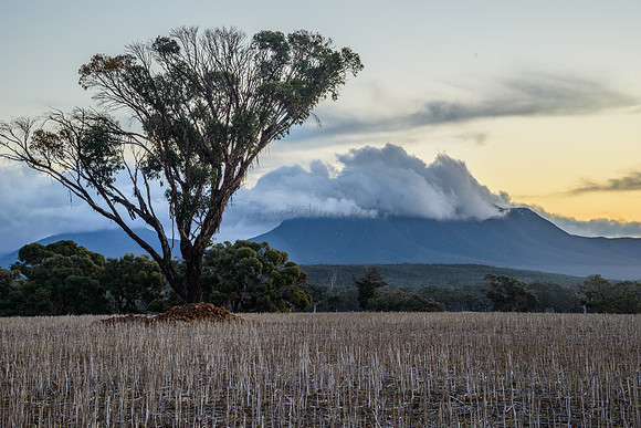 Bluff Knoll