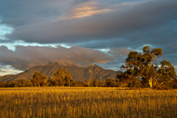 Stirling Range NP
