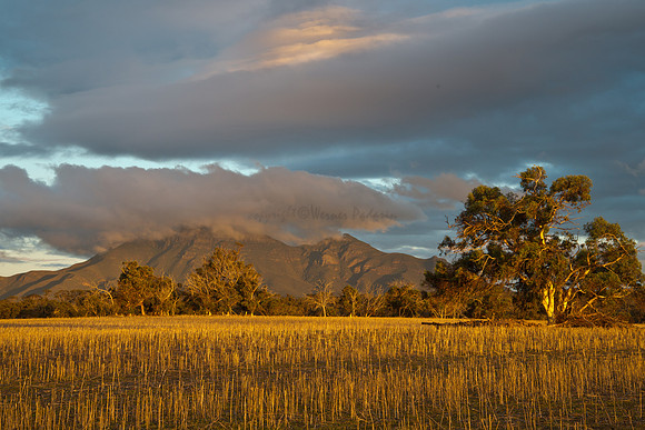 Stirling Range NP