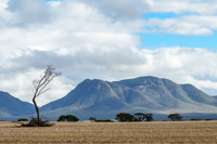 Bluff Knoll