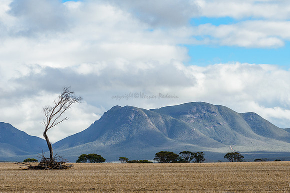 Bluff Knoll