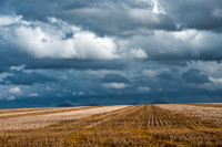 Wide open