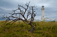 Cape Leeuwin