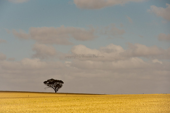 near Carnamah