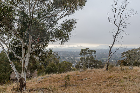 Coolamon Ridge