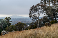Coolamon Ridge