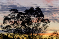 Coolamon Ridge