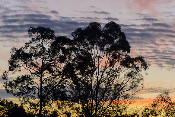 Coolamon Ridge