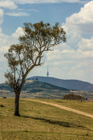 View to Black Mountain