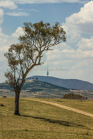 View to Black Mountain
