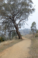 Coolamon Ridge