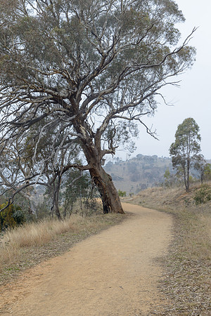 Coolamon Ridge