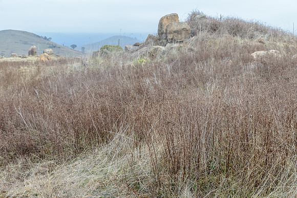 Coolamon Ridge