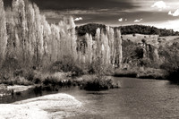 Shoalhaven River