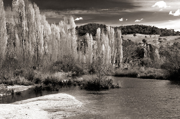 Shoalhaven River