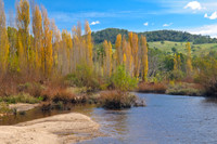 Shoalhaven River