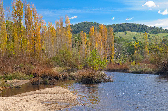 Shoalhaven River