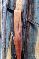 Bark
