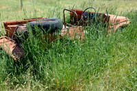 A car in the wild