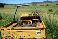 A car in the wild