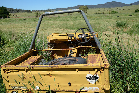 A car in the wild