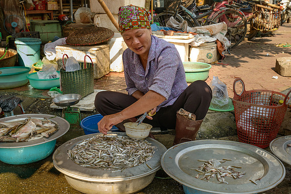 Hoà Bình market