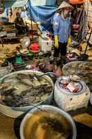 Vietnam Food Markets