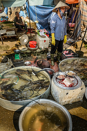 Hoà Bình market