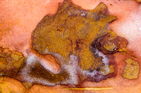Sandstone