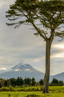 Tongariro National Park
