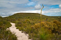 Lesueur NP
