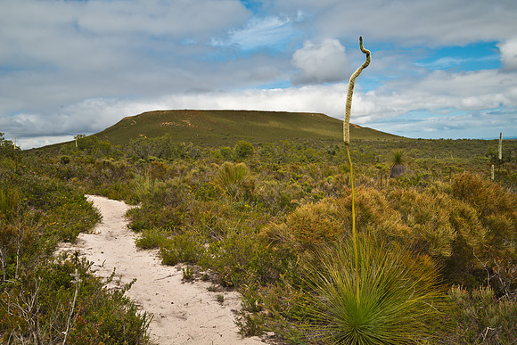 Lesueur NP