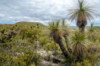Lesueur NP
