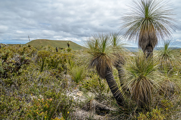 Lesueur NP