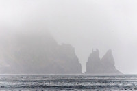 Tasman Coast