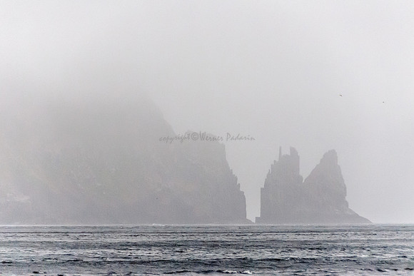 Tasman Coast