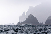 Tasman Coast