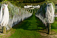 Hawkes Bay