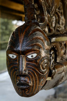 Rotorua district