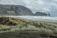 Waitakere