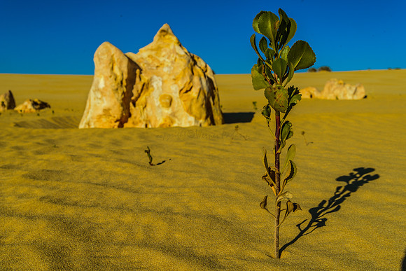 The Pinnacles