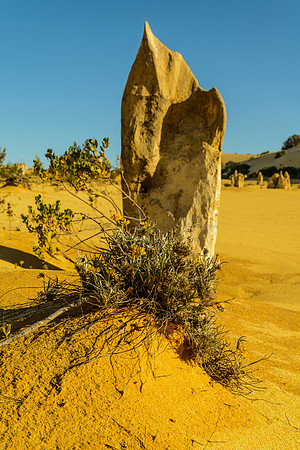 The Pinnacles