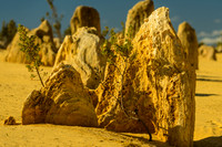 The Pinnacles