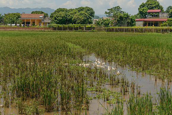 Sai Nga village, Vietnam