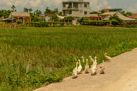 Sai Nga village, Vietnam