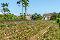 Sai Nga village, Vietnam